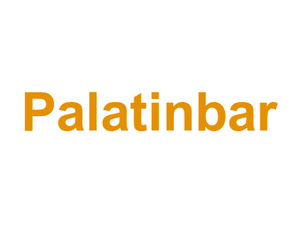 Palatinbar Logo