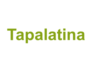 Tapalatina Logo