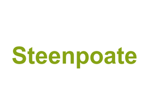Steenpoate Logo
