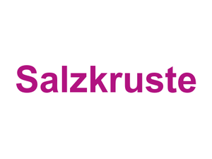 Salzkruste Logo
