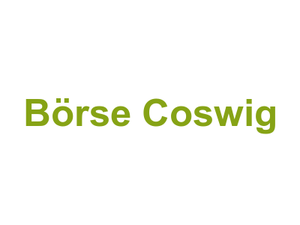 Börse Coswig Logo