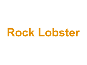 Rock Lobster Logo