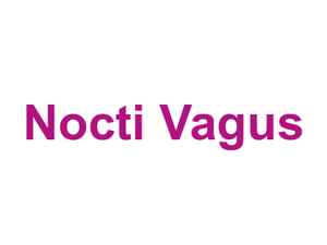 Nocti Vagus Logo
