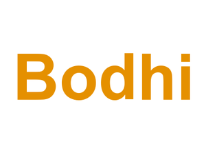 Bodhi Logo