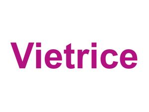 Vietrice Logo