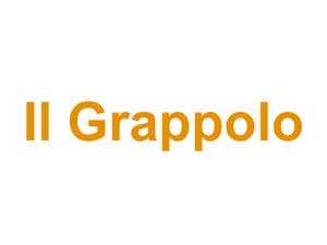 Il Grappolo Logo