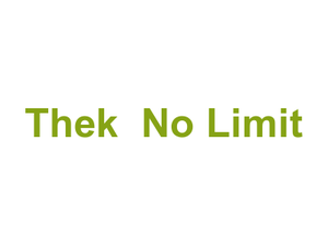 Thek '' No Limit'' Logo