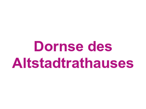 Dornse des Altstadtrathauses Logo