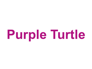 Purple Turtle Logo