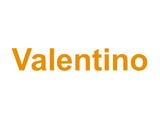 Valentino Logo