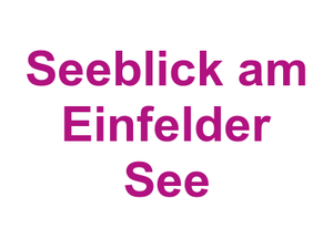 Seeblick am Einfelder See Logo