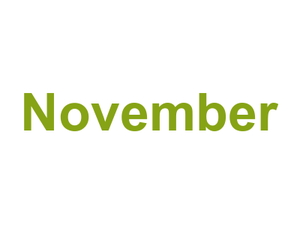 November Logo