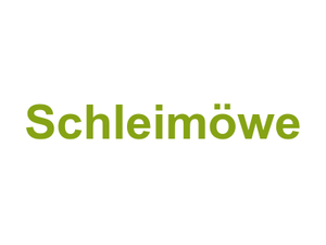 Schleimöwe Logo