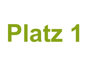 Platz 1 Logo