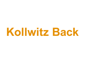 Kollwitz Back Logo