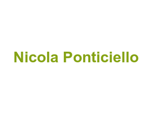 Nicola Ponticiello Logo