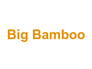 Big Bamboo Logo