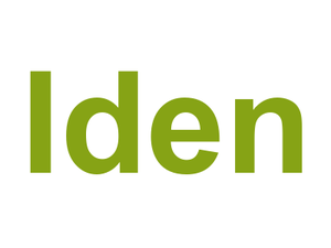 Iden Logo