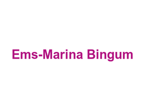 Ems-Marina Bingum Logo