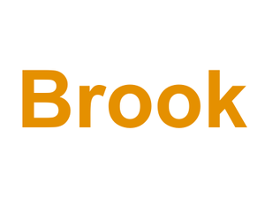 Brook Logo