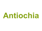 Antiochia Logo