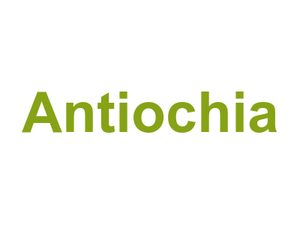 Antiochia Logo