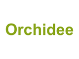 Orchidee Logo