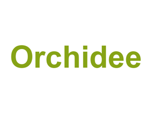 Orchidee Logo