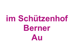 Restaurant Chinatown-Dragon im Schützenhof Berner Au Logo
