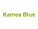 Kamea Blue Logo
