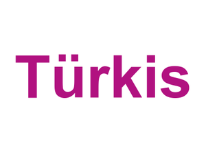 Türkis Logo