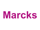 Marcks Logo