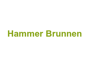 Hammer Brunnen Logo