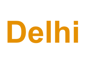 Delhi Logo