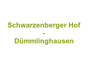Schwarzenberger Hof - Dümmlinghausen Logo