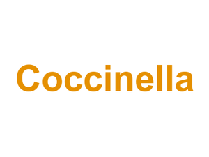 Coccinella Logo