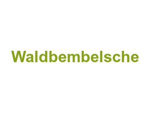 Waldbembelsche Logo