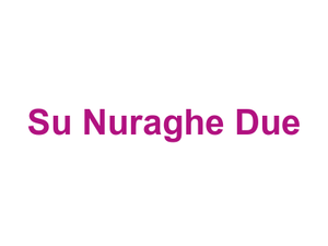 Su Nuraghe Due Logo