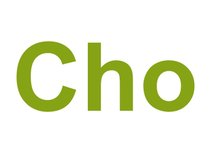 Cho Logo