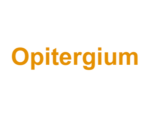 Opitergium Logo