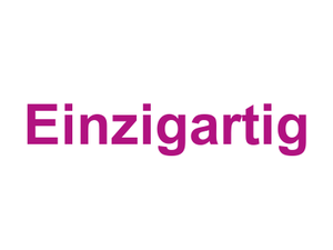 Einzigartig Logo